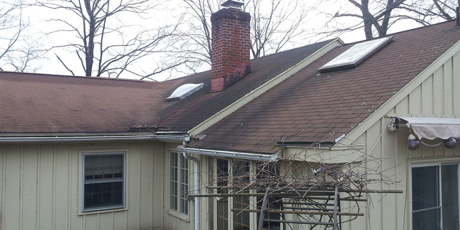 Roof